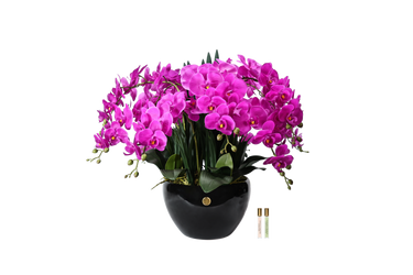 Luxury Giant Orchid Fuchsia - GO09